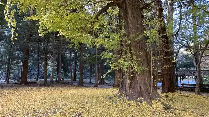 柳津虚空蔵尊 寳性院(宮城県)