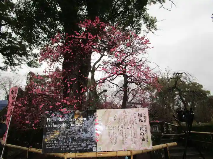 北野天満宮(京都府)