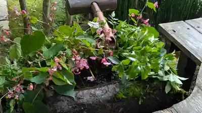 宝泉院(京都府)