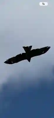 余市神社(北海道)