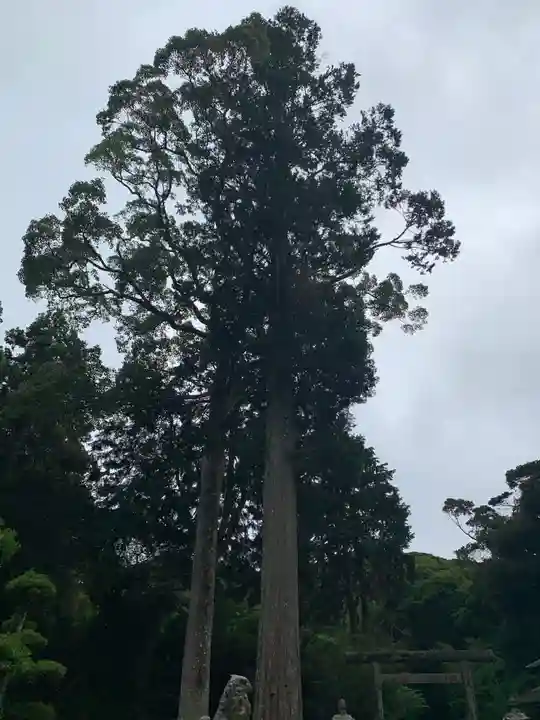 山宮神社の自然