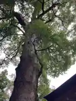 伊勢神宮外宮(豊受大神宮)(三重県)