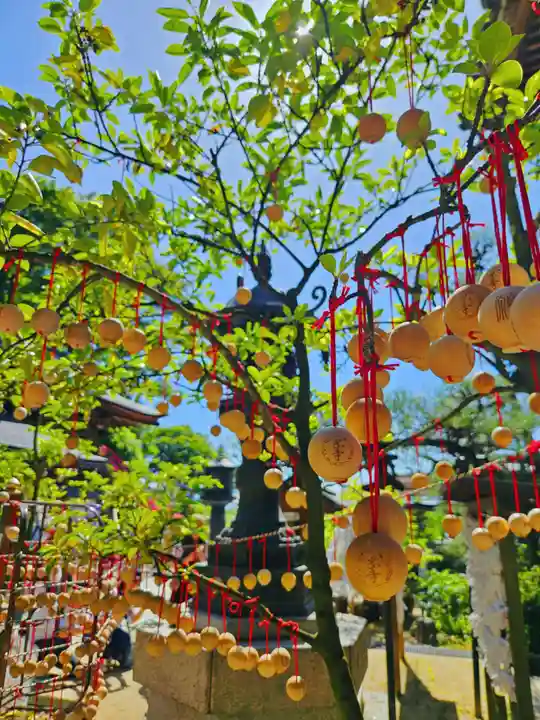 岡寺(龍蓋寺)(奈良県)