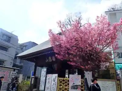 弘明寺の御朱印