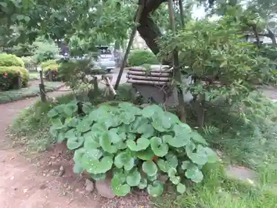 廣福寺(埼玉県)