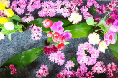 三津厳島神社の手水舎