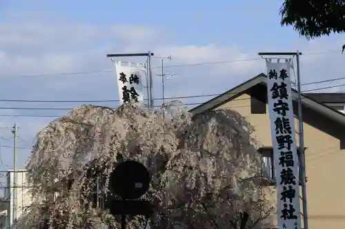 熊野福藏神社の景色