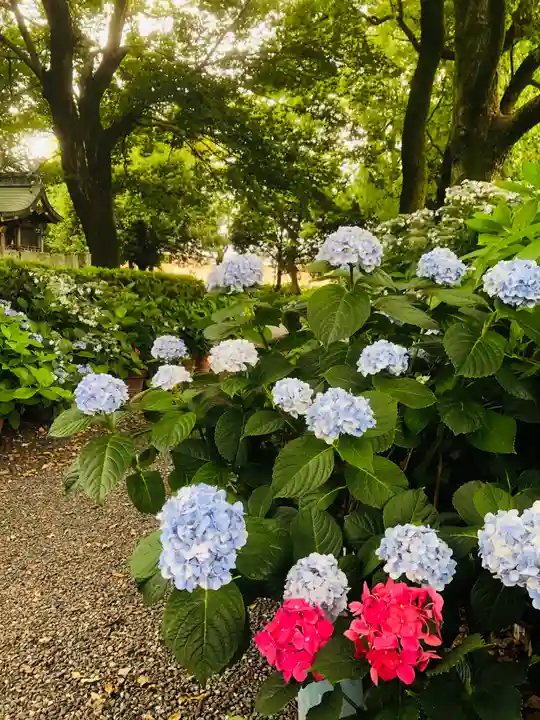 御裳神社の自然