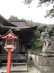 白鬚神社(滋賀県)