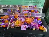 成田山深川不動堂(新勝寺東京別院)(東京都)