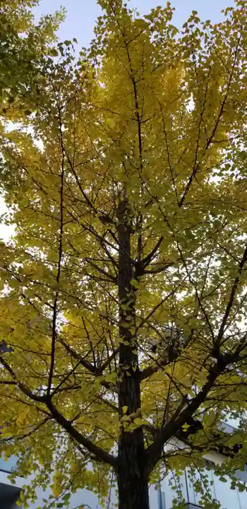 高木神社(東京都)