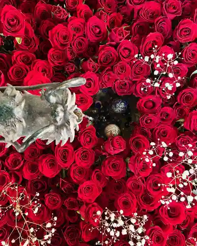 札幌諏訪神社の手水舎