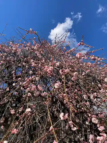金剛院(神奈川県)