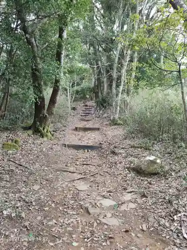 伊豆山神社の自然