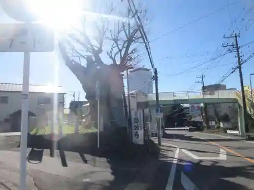 相模國分寺(神奈川県)