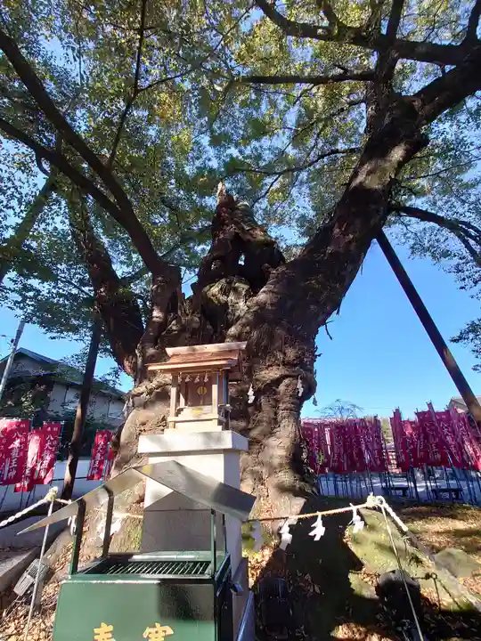 秩父今宮神社(埼玉県)