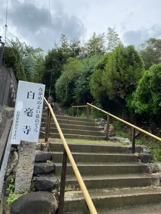 白毫寺(奈良県)