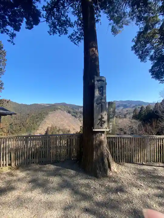 𠮷水神社(吉水神社)の自然