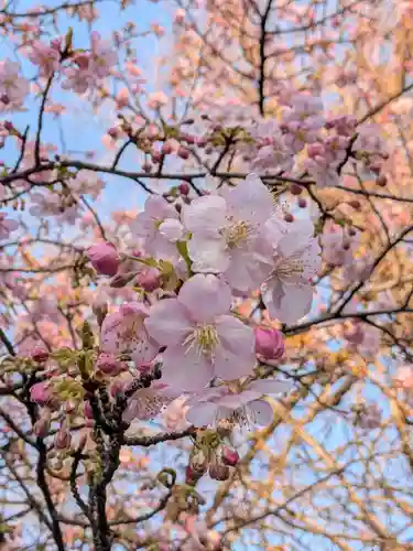 蓮華寺(東京都)