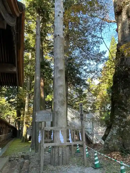 諏訪大社(長野県)