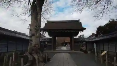 曼陀羅寺の山門・神門
