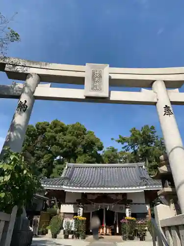 水堂須佐男神社の鳥居