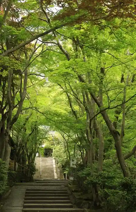 神峯山寺(大阪府)