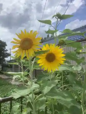 禅林寺(愛知県)