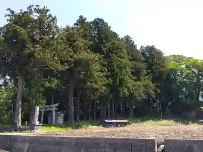 白山神社の{uncategorized: "未分類", other: "その他", undefined: "問題あり", building: "その他建物", grave: "お墓", sacred_gate: "鳥居", guardian: "狛犬", statue: "像", buddha: "仏像", history: "歴史", nature: "自然", garden: "庭園", animal: "動物", pagoda: "塔", temizu: "手水舎", mountain_gate: "山門・神門", sanctuary: "本殿・本堂", subordinate: "末社・摂社", art: "芸術", scenery: "景色", jizo: "地蔵", ema: "絵馬", goshuin: "御朱印", omikuji: "おみくじ", items: "授与品その他", amulet: "お守り", goshuincho: "御朱印帳", eats: "食事", festival: "お祭り", votive_dance: "神楽", shichigosan: "七五三参", wedding: "結婚式", experience: "体験その他", initially: "初詣", around: "周辺", anti_infection: "感染症対策"}