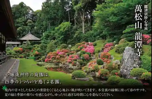 普門寺(切り絵御朱印発祥の寺)の庭園