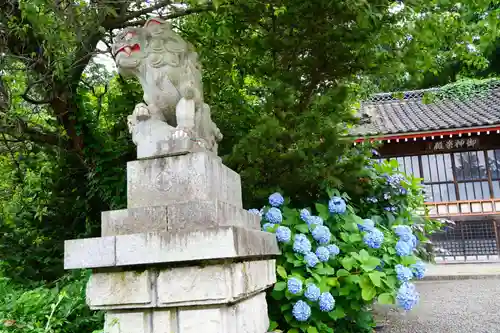 石母田　三吉神社の狛犬