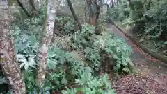 天妃神社の建物その他