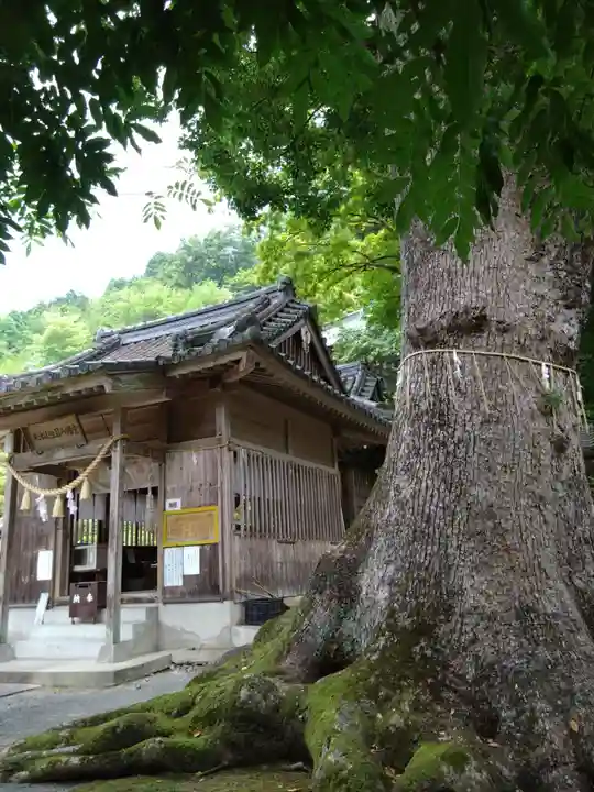 大津山阿蘇神社(熊本県)