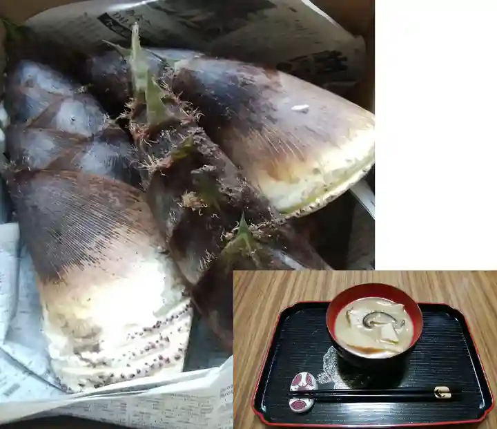 白狐山光星寺(山形県)