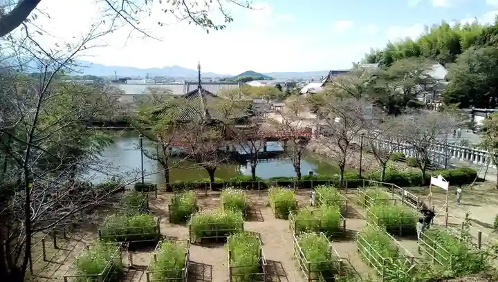 安倍文殊院 の庭園