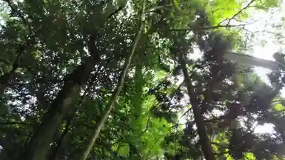 出雲大神宮(京都府)