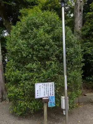 息栖神社(茨城県)
