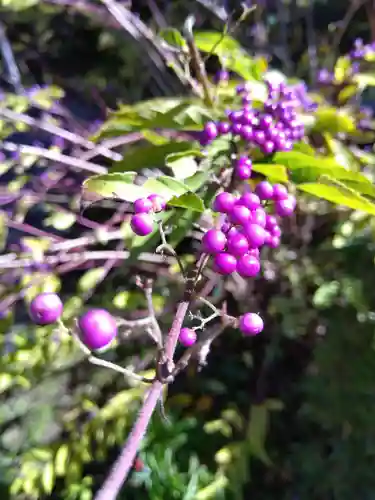 実光院(京都府)