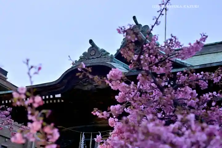 桜神宮(東京都)