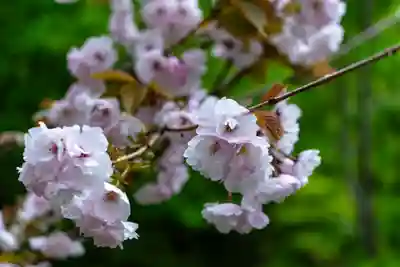 戸隠神社九頭龍社(長野県)