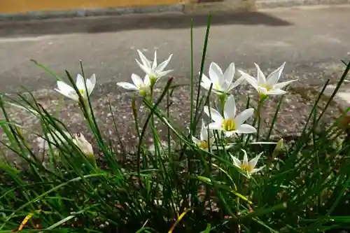 雲龍院の自然