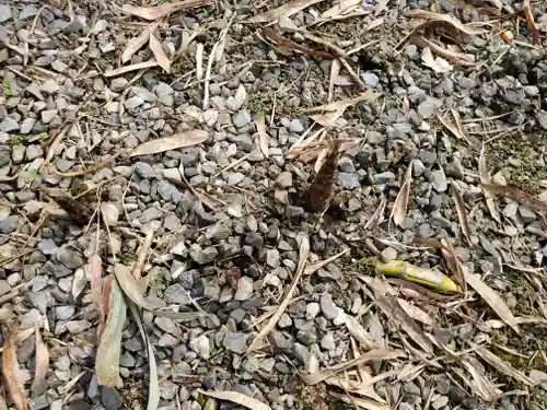 八幡神社（閑馬町）(栃木県)