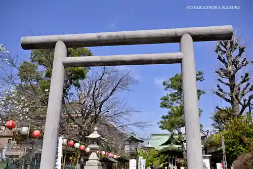 桜神宮の鳥居