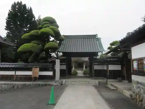 金剛寺の山門