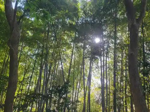 櫛玉比賣命神社(愛媛県)