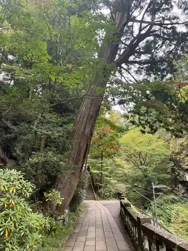 榛名神社(群馬県)
