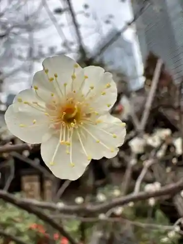 愛宕神社(東京都)