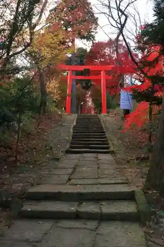 愛宕神社の鳥居