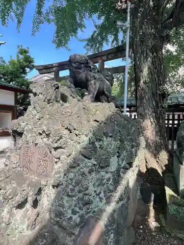 牛嶋神社の狛犬