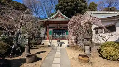 瀧泉寺（目黒不動尊）(東京都)